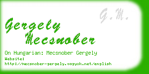 gergely mecsnober business card